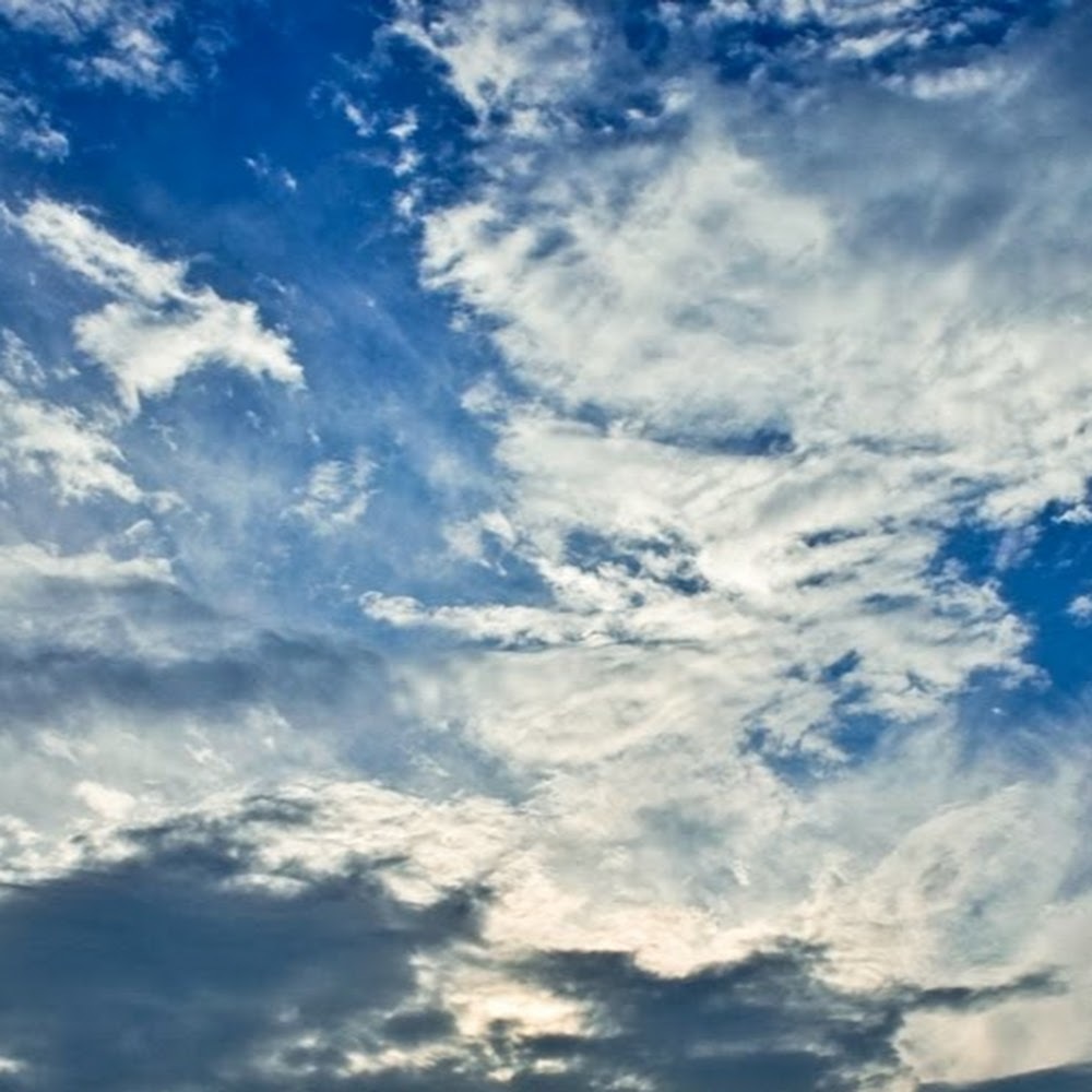 Meet your Posher, Kendall